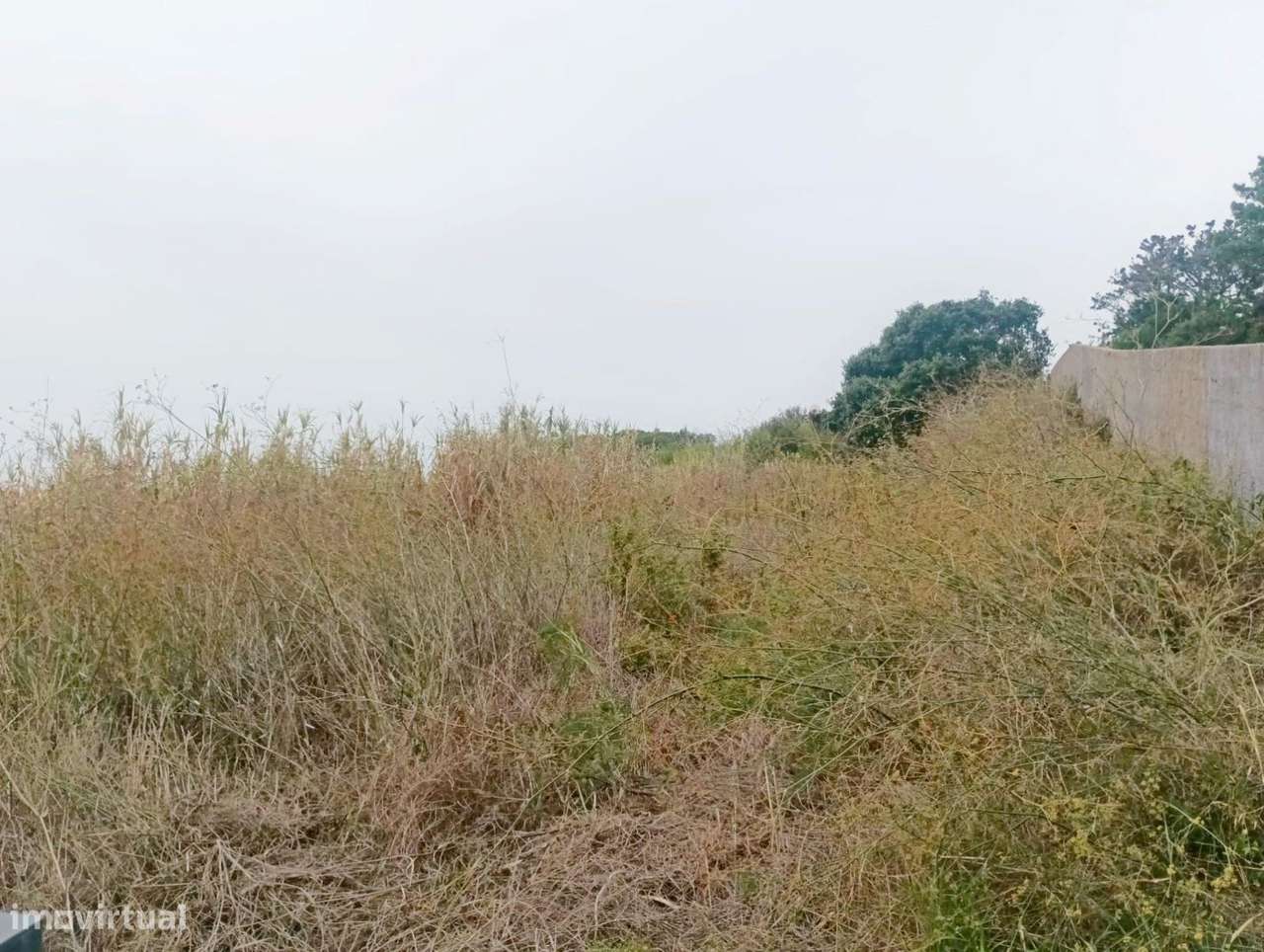 Terreno rústico, para venda, Sintra - Colares - Grande imagem: 3/5