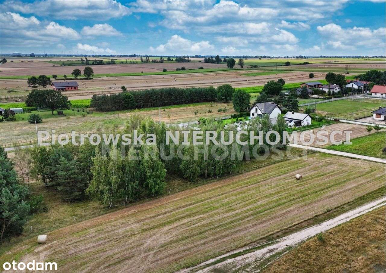 Działka, 21 000 m², Warta-2