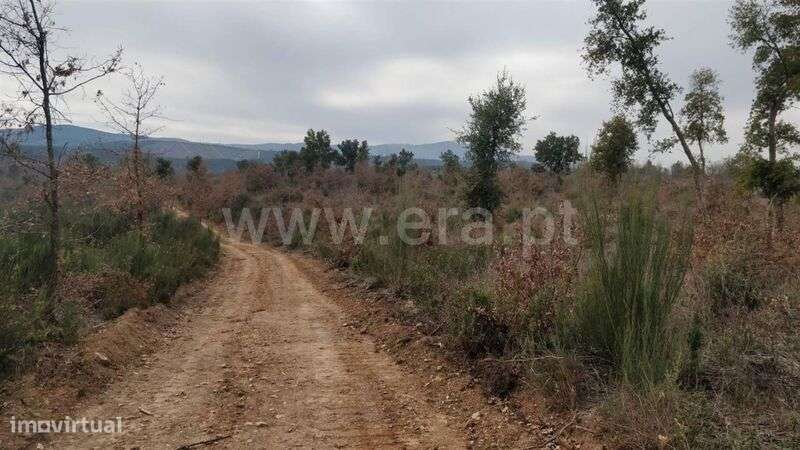 Terreno Rústico / Fundão, Pêro Viseu - Grande imagem: 4/6