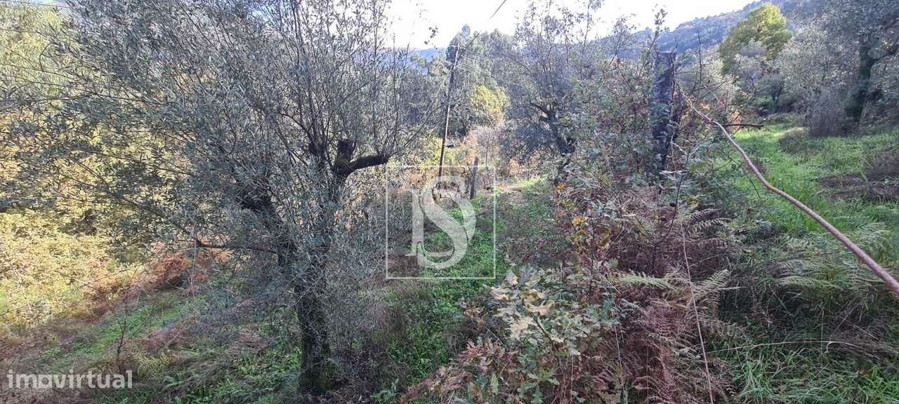 Terrenos rústicos para venda em Candemil-10