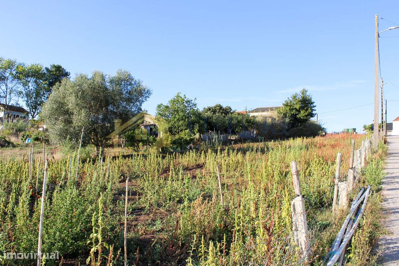 Terreno  Venda em Bombarral e Vale Covo,Bombarral-6