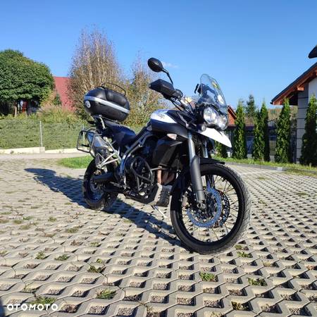 Triumph Tiger - 4