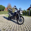 Triumph Tiger - 4