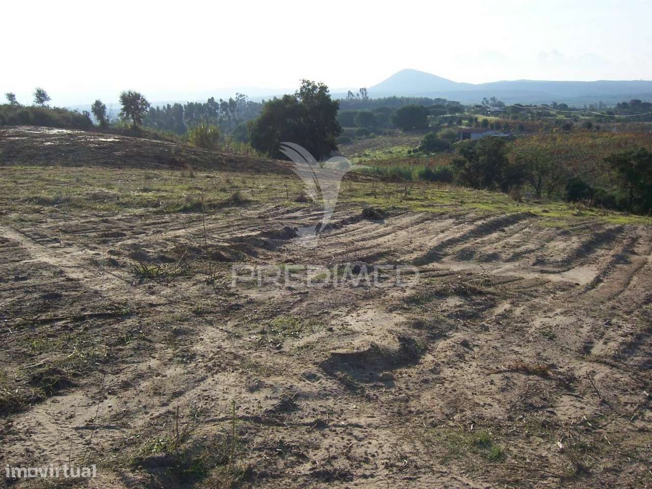TERRENO AVEIRAS DE CIMA - 30 MINUTOS DE LISBOA - Grande imagem: 5/7
