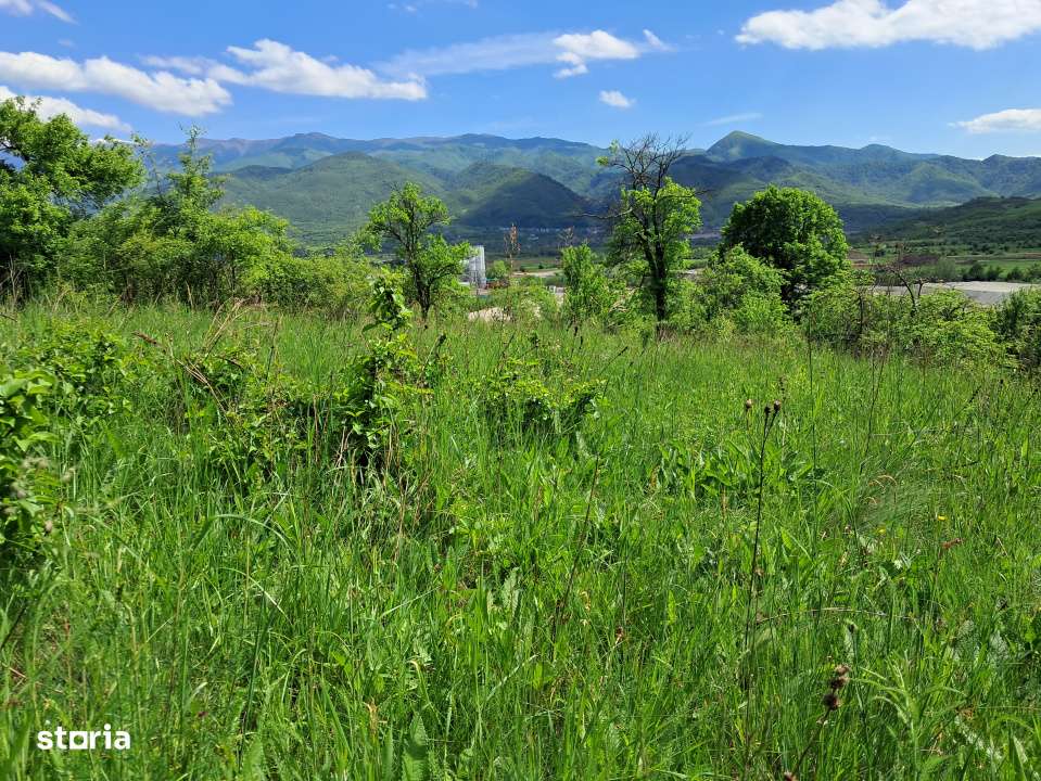 Teren de vanzare in Vii,  Podul Olt-7