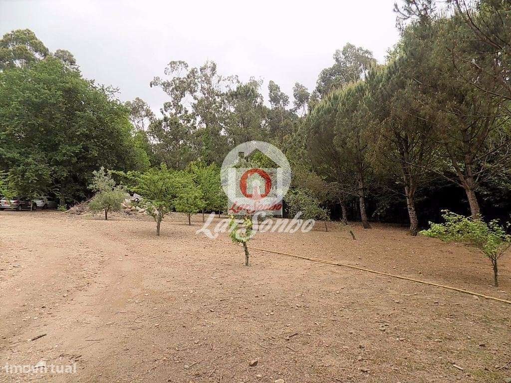 Quintinha com 9.200 m2 em Cruz - Grande imagem: 5/21