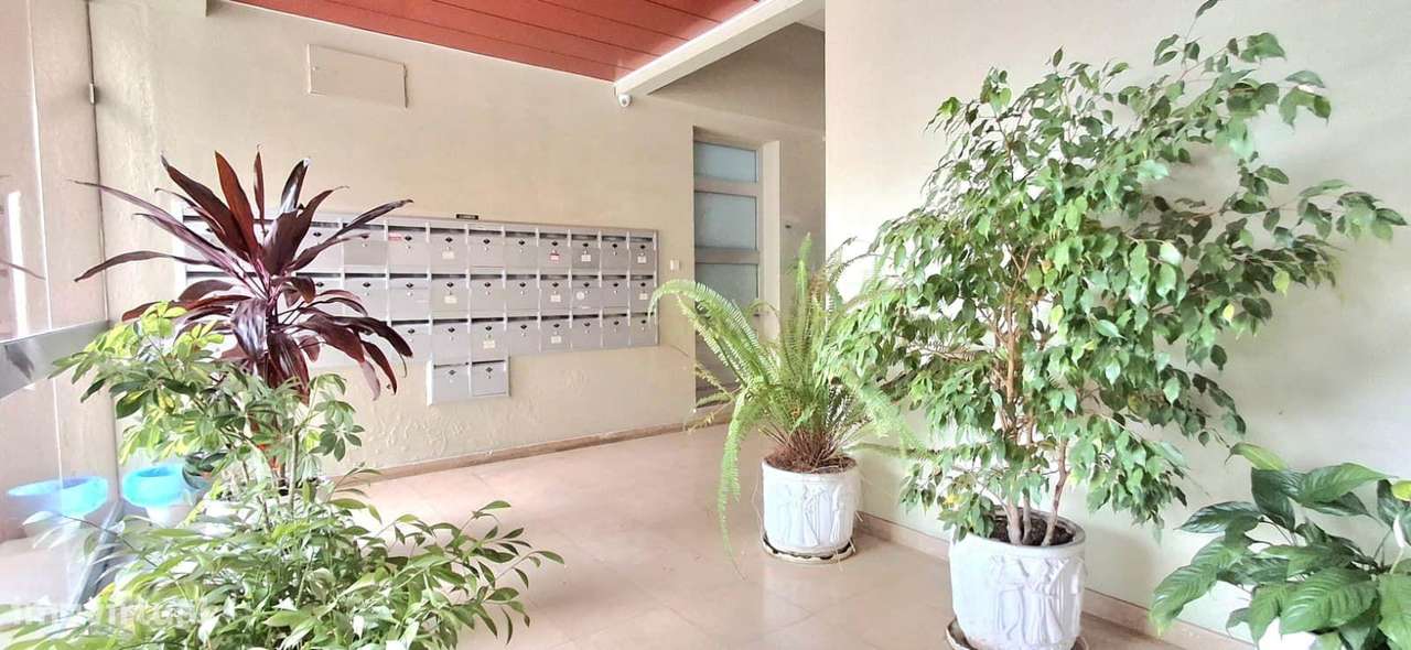 Apartamento T3 na Rua Tomás Alcaide-13