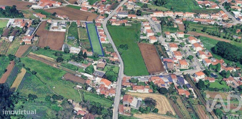 Terreno Agrícola em Albergaria-a-Velha e Valmaior-0
