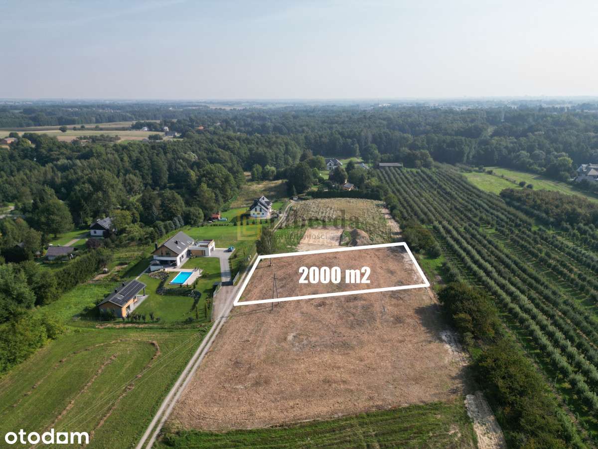 Motycz - 2000M2 - Okolica Lublina - Pełny obrazek: 2/3