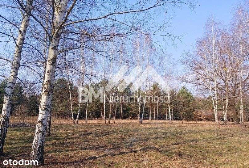 Makówka w/w osiedla Czarny Las-3