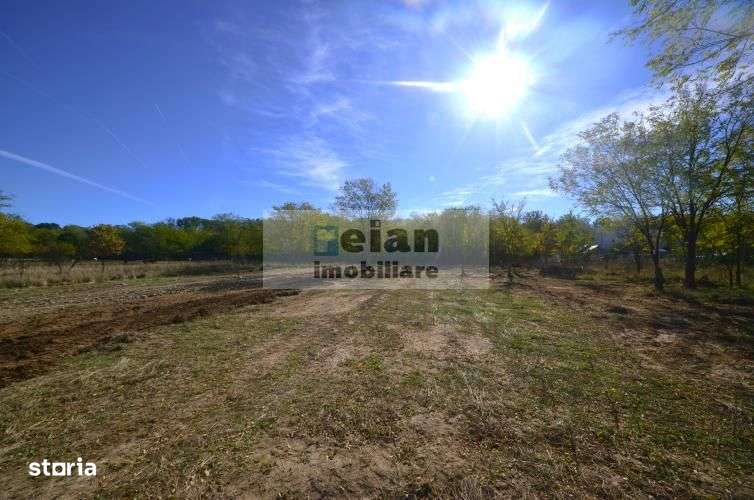 Snagov Ciofliceni Mânastire- Teren 1432 mp, d 60 m, curent gaze asfalt-1