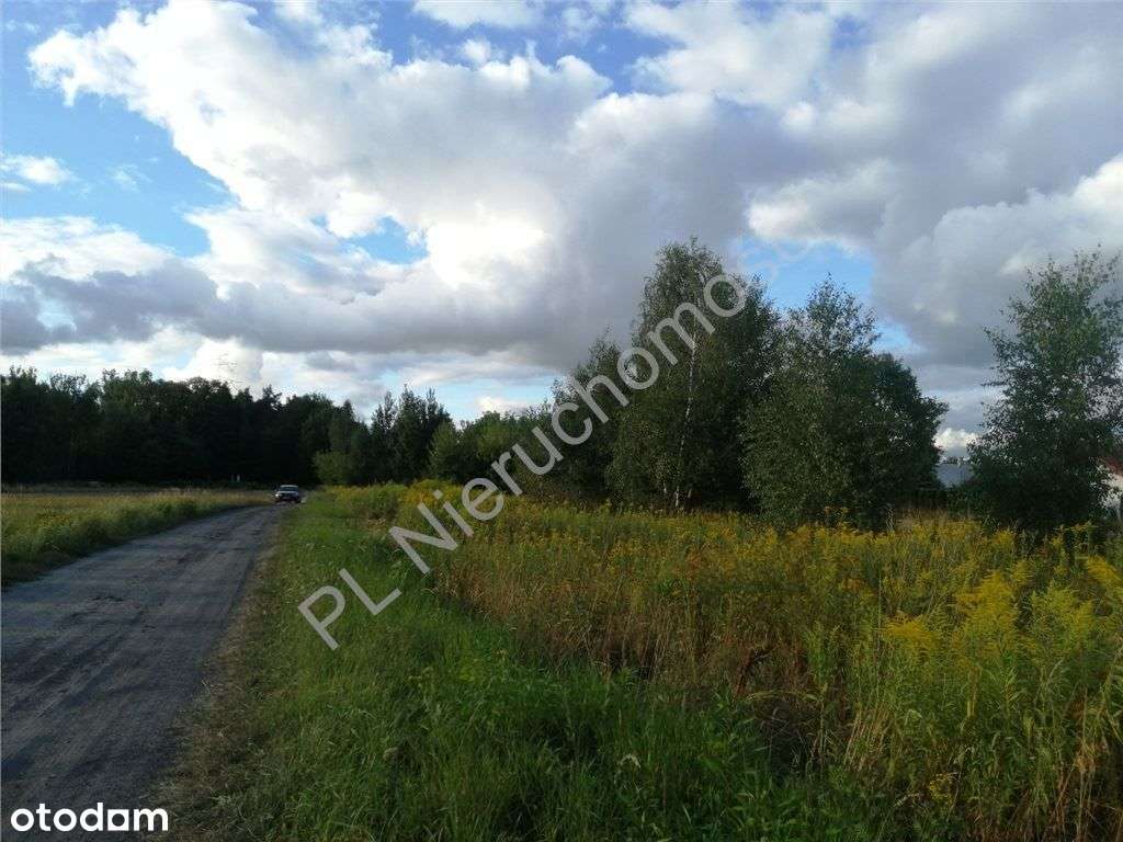 Nieduża działka budowlana na uboczu-4