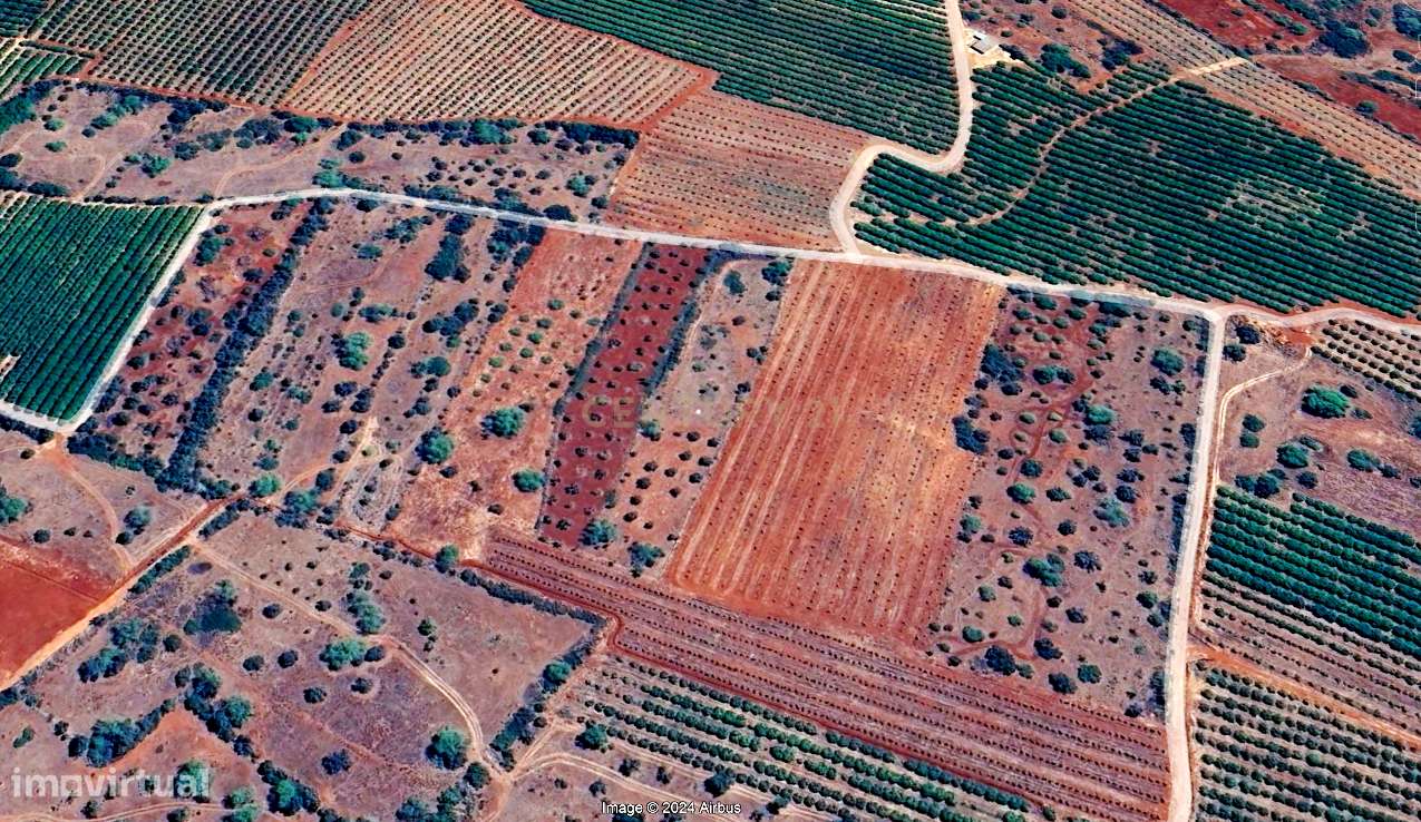 Terreno rústico plano com uma área de 7220 m² - Grande imagem: 3/6