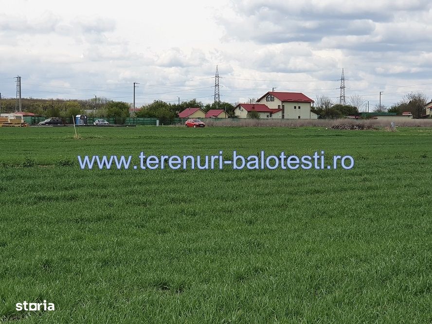 Vanzare teren Balotesti, Edenland, 800 mp, 38500 euro