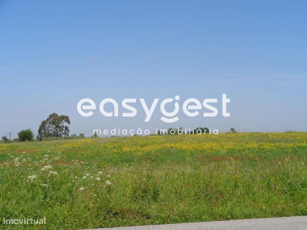 Terreno para empreendimento - Painça - Alfarelos - Grande imagem: 5/5