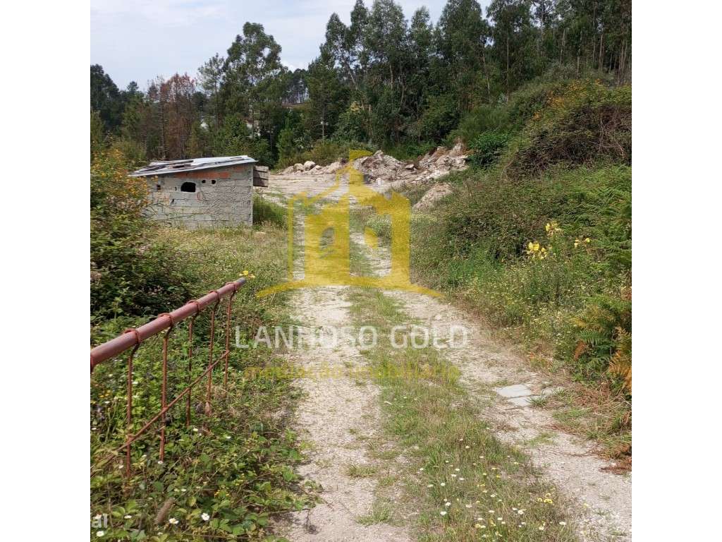 Terreno Rustico - Grande imagem: 4/6