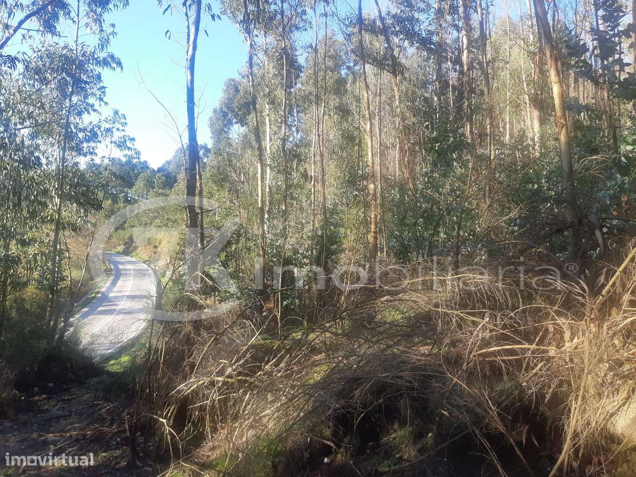 Terreno em Penhalonga-8