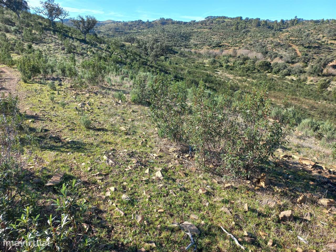Terreno Rústico  Venda em Santa Clara-a-Nova e Gomes Aires,Almodôvar-11