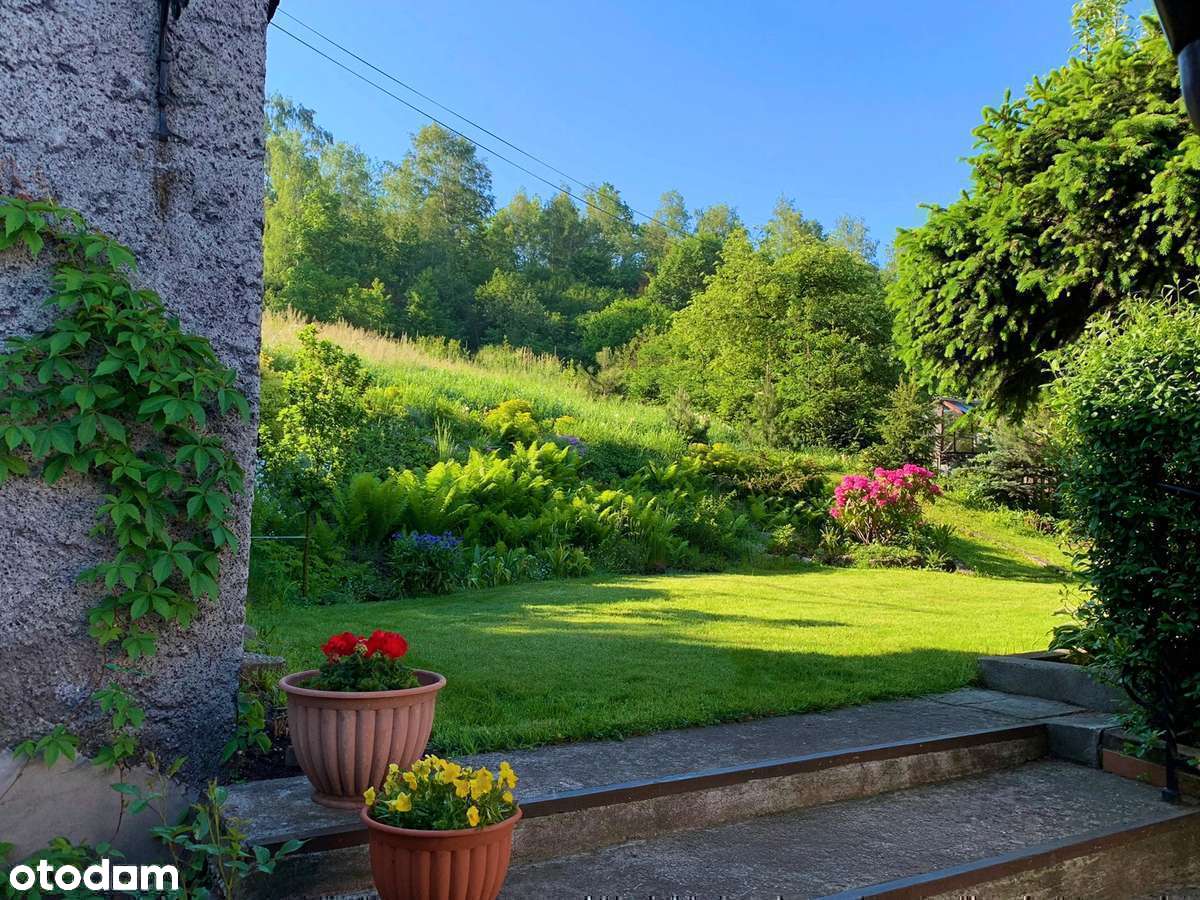 Wolnostojący dom z ogrodem przy lesie - widok na góry - cicha okolica - Pełny obrazek: 2/20