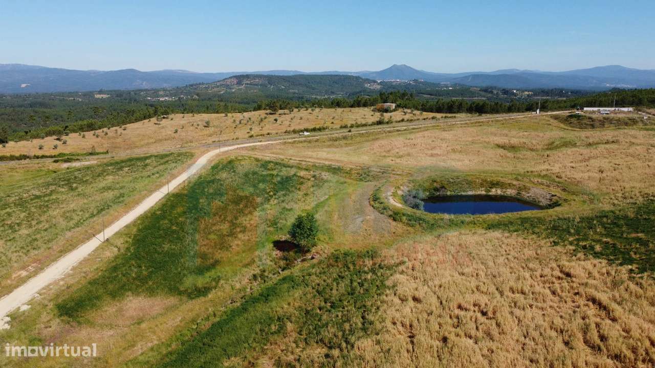 Herdade com 14Ha -Lomba Chã- Sarzedas - 20 min de Castelo Branco - Grande imagem: 5/49