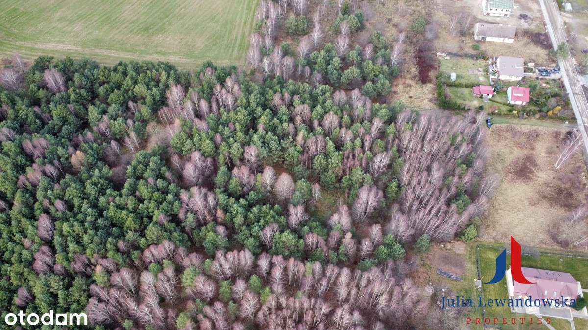 Atrakcyjna działka inwestycyjna – Gniewino-7