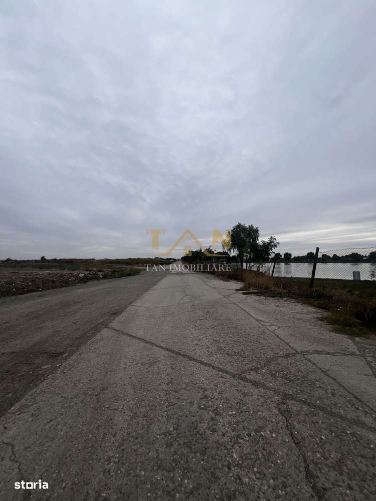 Teren industrial 17770MP Sacalaz ( Fosta ferma de Porci) - Imagine principală: 3/6