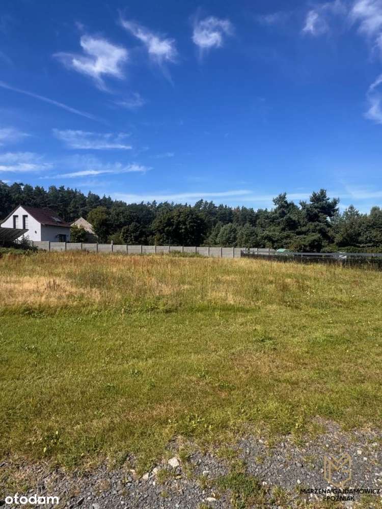 Piękna działka w Buchałowie - Pełny obrazek: 4/8