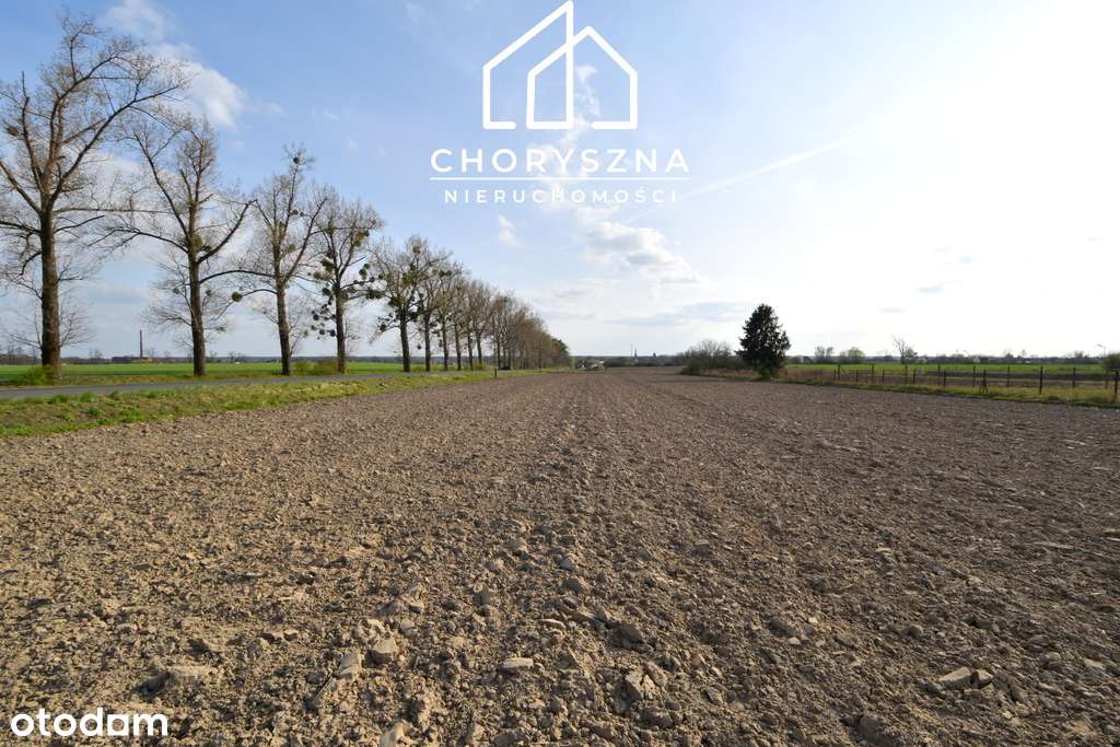 Działka budowlana w Bierutowie -możliwość podziału-14