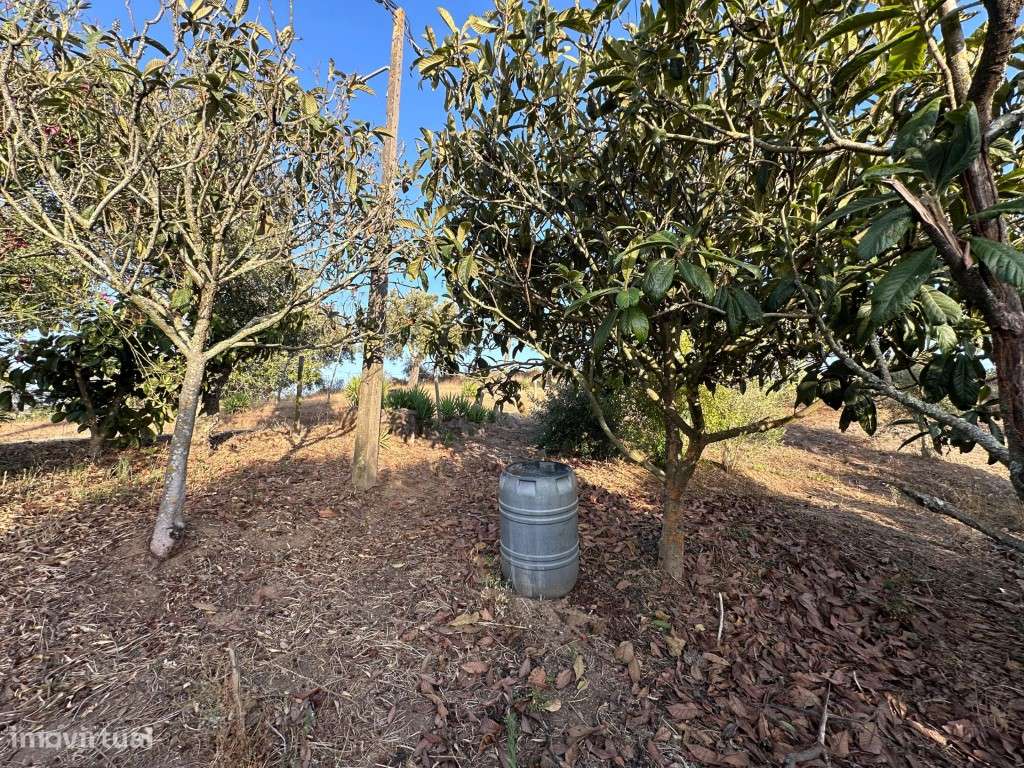 Monte Alentejano com 3,4 ha de natureza e potencial turístico-32