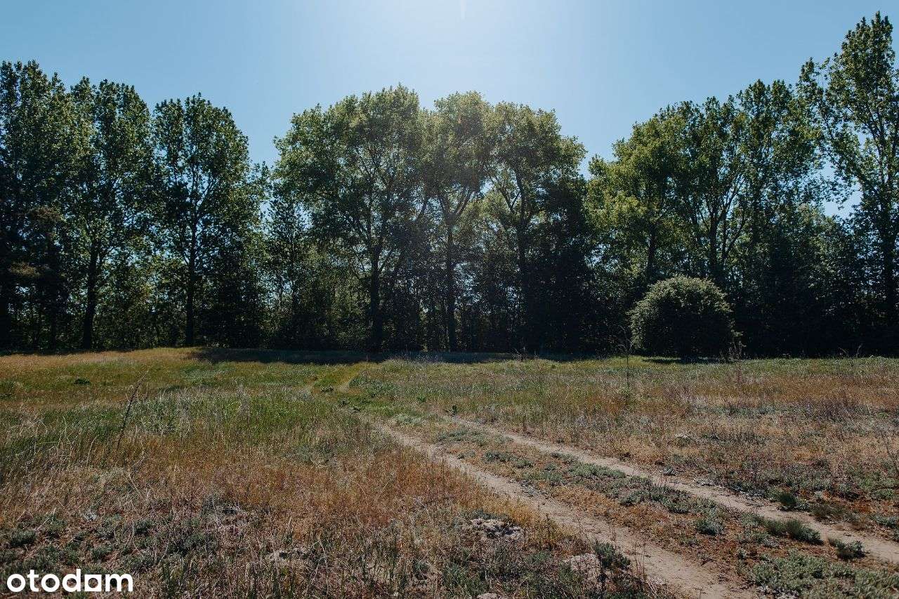 Działka rekreacyjna przy Kanale Gopło - Pełny obrazek: 4/6