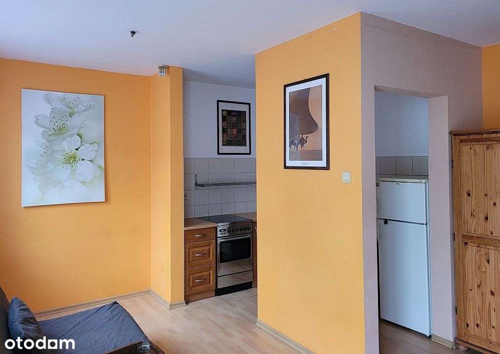 Piątkowo kawalerka niski blok spokojna okolica-0