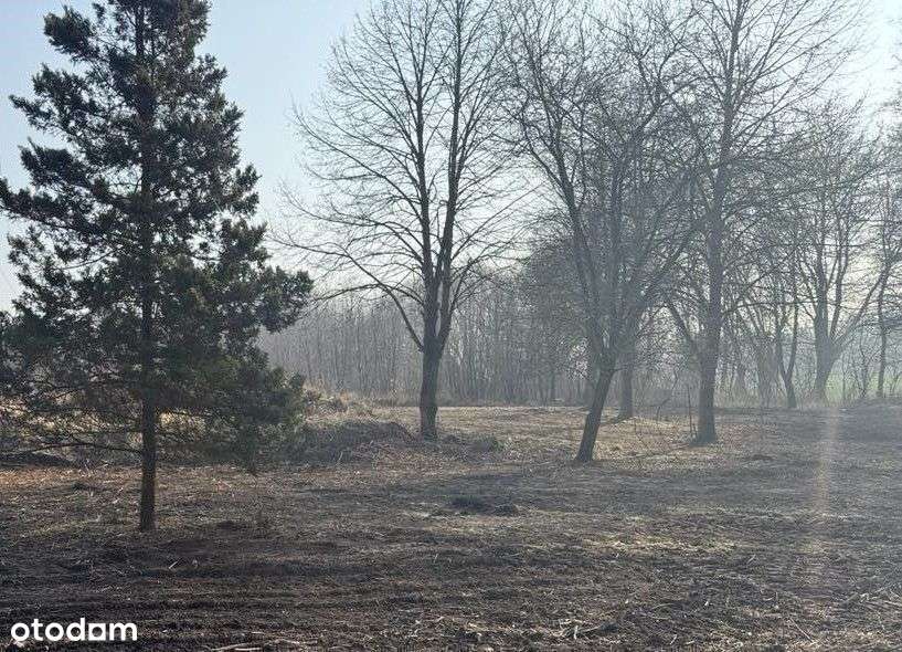 Chyby stare, działka Okazja!!!-2