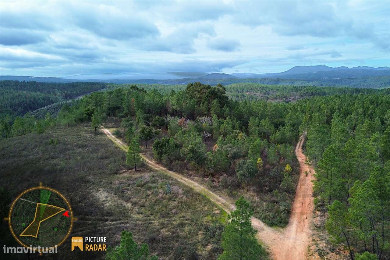 Terreno 1ha | Vistas de Vale | Salgueiro do Campo, PT-23