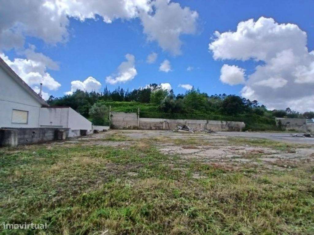 Conjunto de 5 Artigos com 4.160 m2 em Almalaguês, Coimbra –... - Grande imagem: 4/5