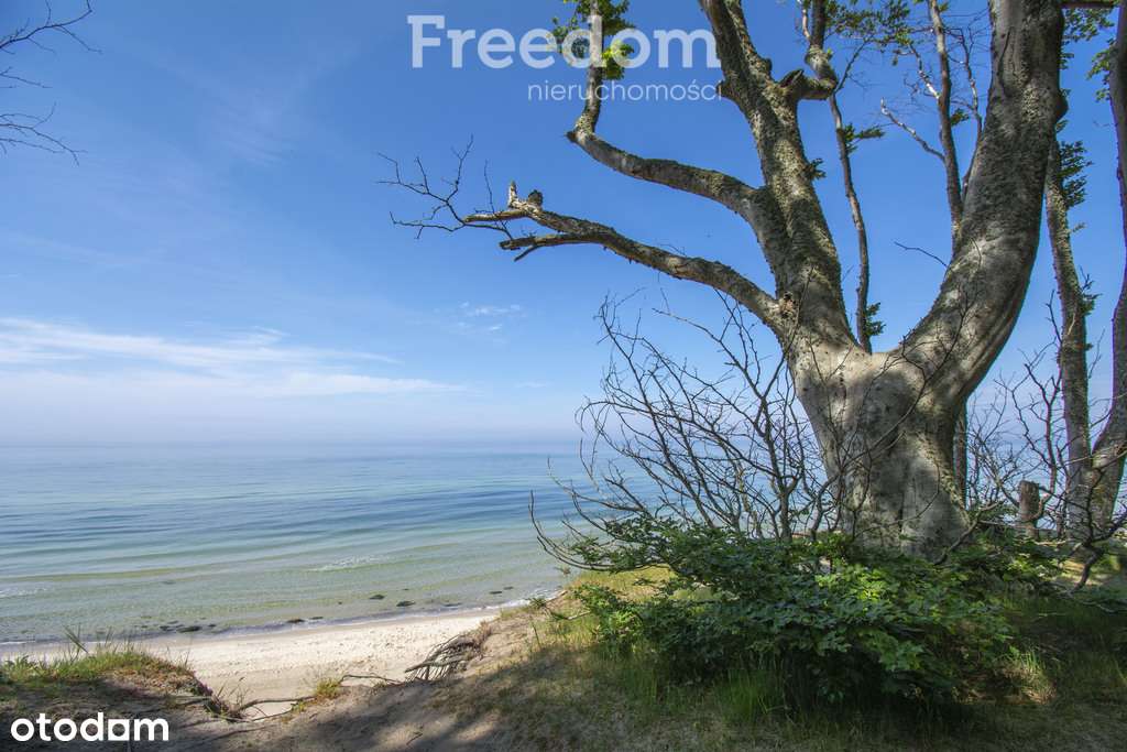 Dębina, Apartament 2 pokoje, Wyposażony, 33m2 - Pełny obrazek: 5/17