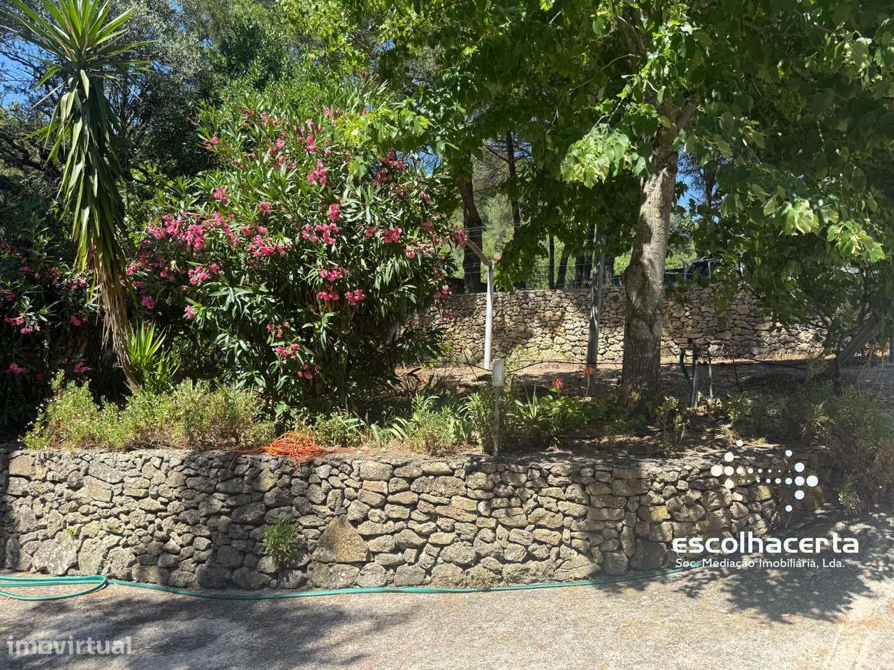 Quinta unica em pleno coração da Arrabida-53