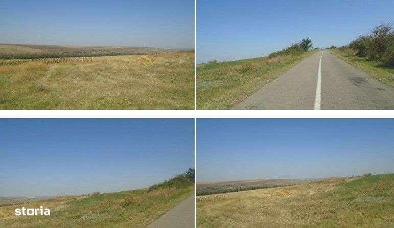 Teren Extravilan cota parte 1/4, Varlezi, ID: R2730256 - Imagine principală: 2/8