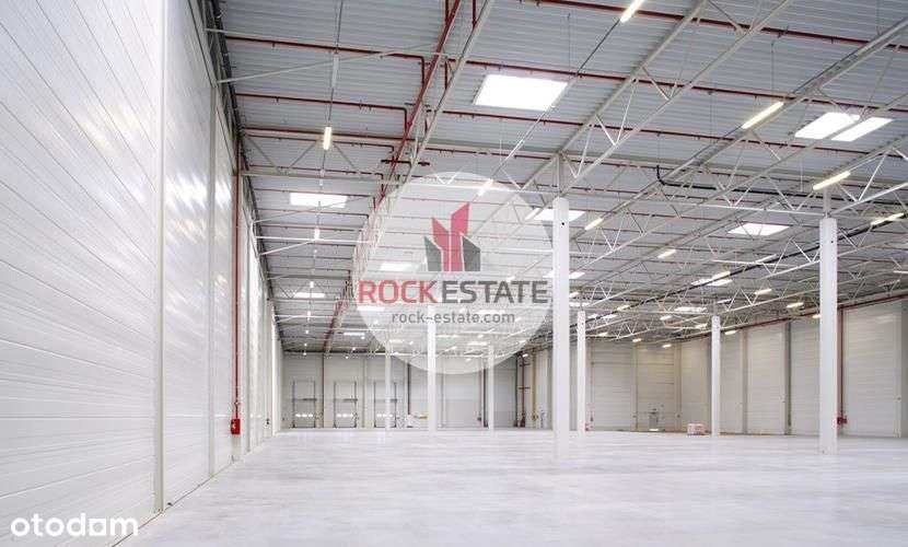 Magazyn 6000 m2 od zaraz - 0% prowizji