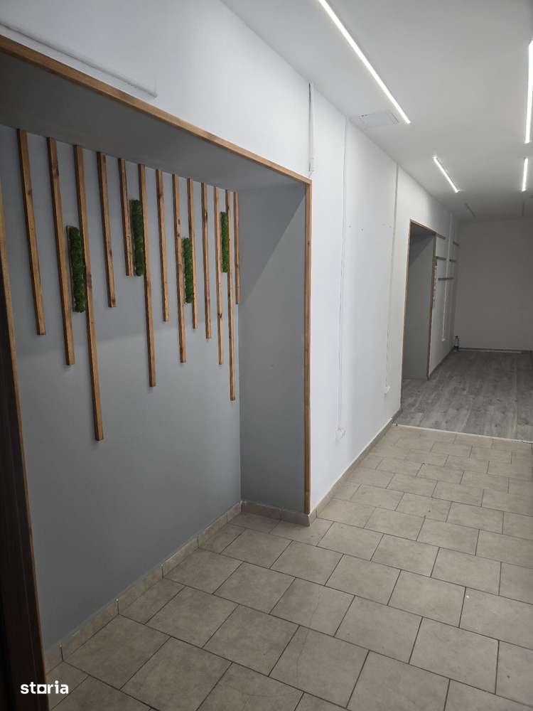 Hala depozitare sau mica productie, zona Zizinului, 400mp-7