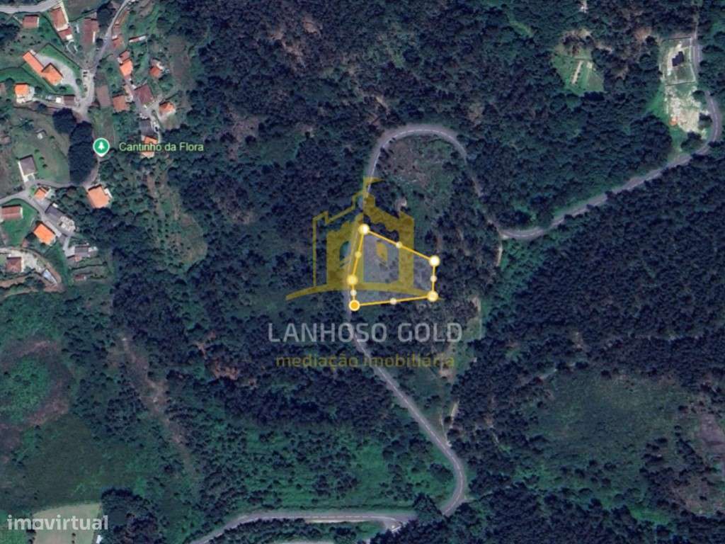 Terreno Florestal com 23.876 m² em Garfe - Oportunidade de Investim... - Grande imagem: 2/2