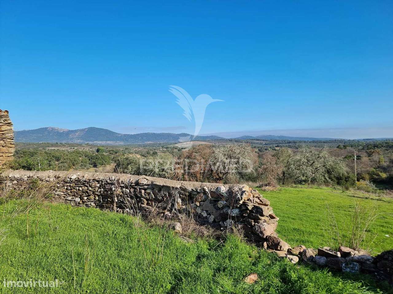 TERRENO URBANO COM VISTA PARA A SERRA - Grande imagem: 4/12