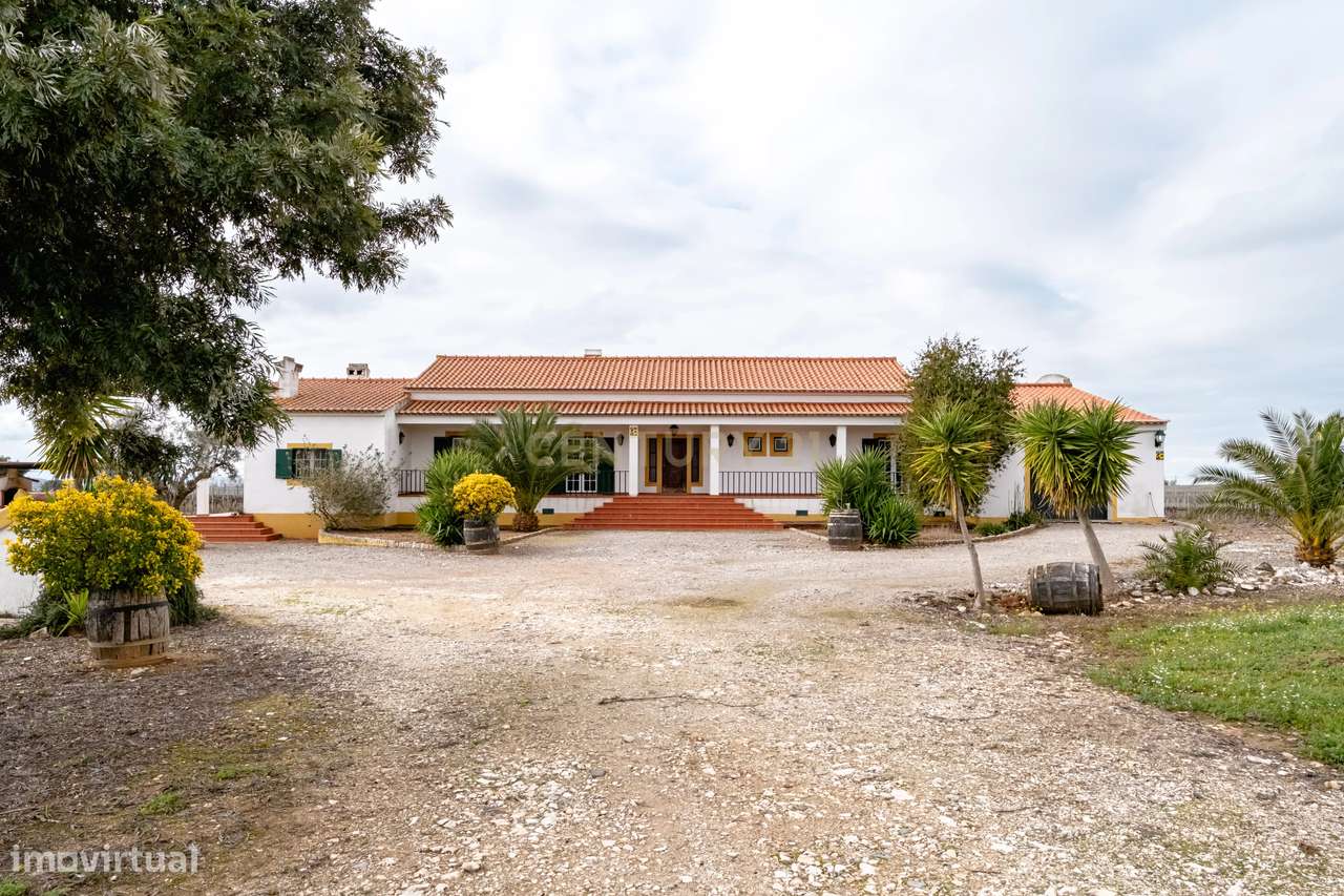 Descubra o seu Refúgio dos Sonhos no Alentejo! - Grande imagem: 5/33