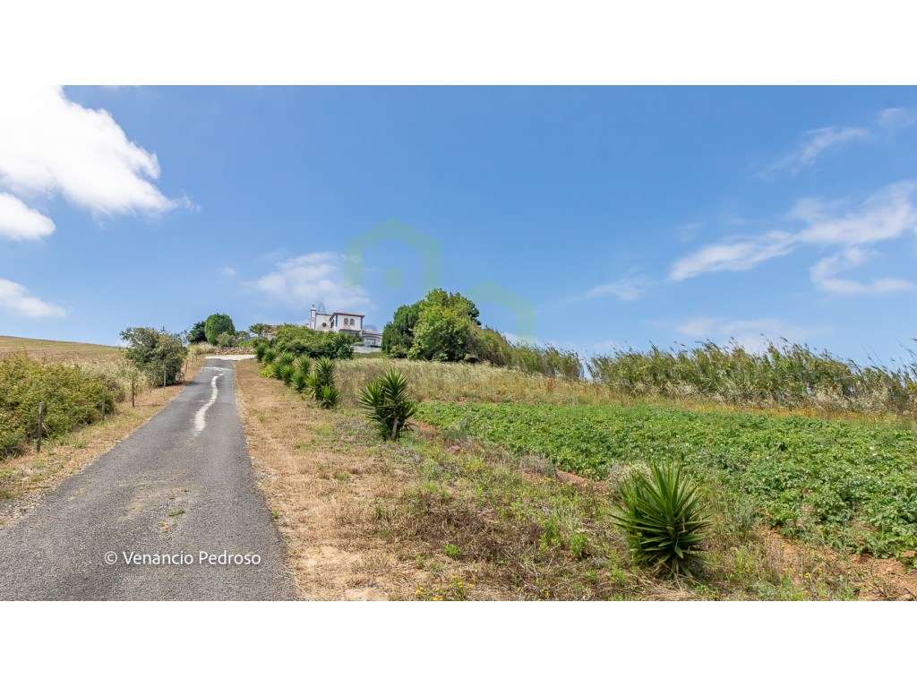 Moradia T5 - Ericeira Km 14, A Casa das Casas - Grande imagem: 5/32