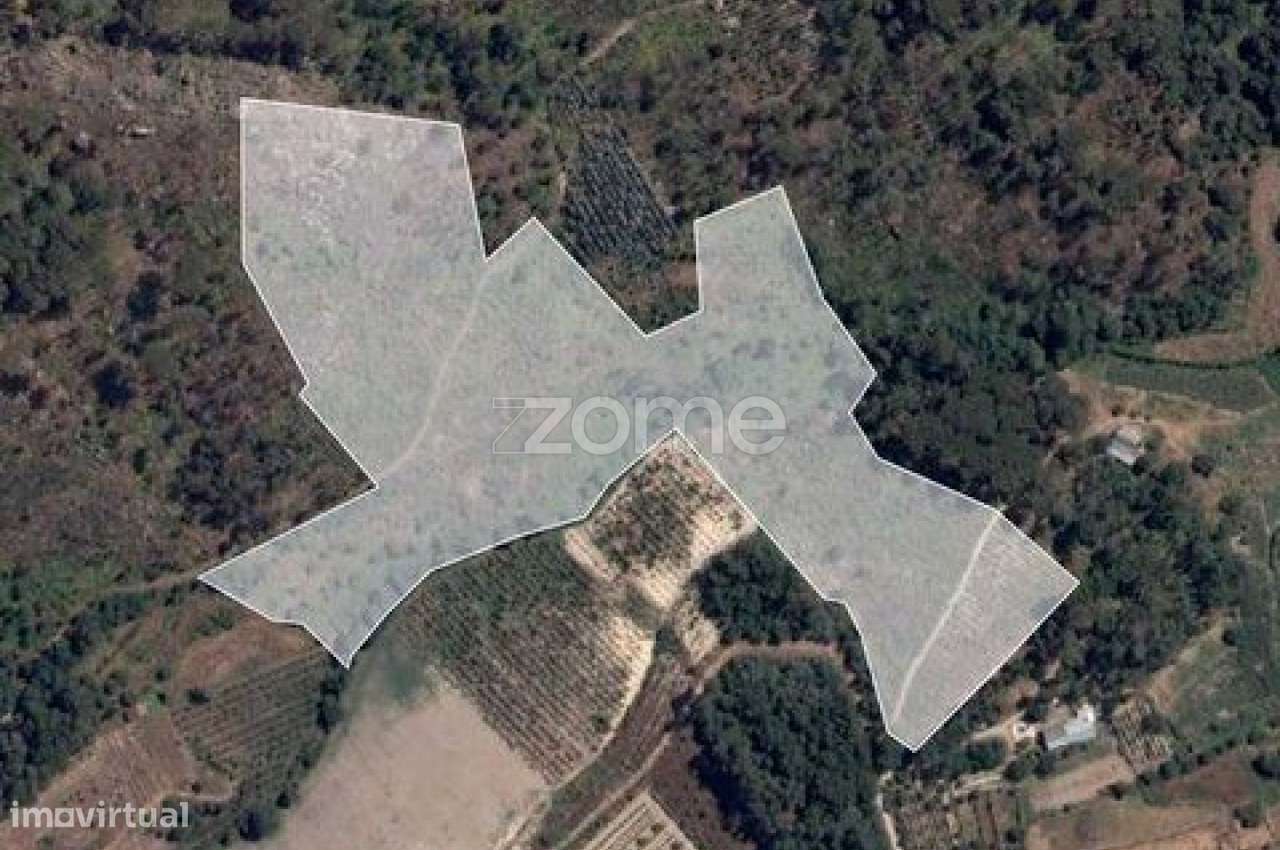 Terreno em Silgueiros para venda - Grande imagem: 1/5