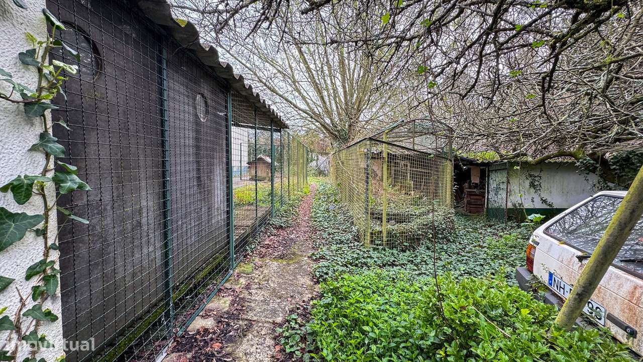 Quinta em Grijó com Piscina e Potencial para Alojamento Rural-10