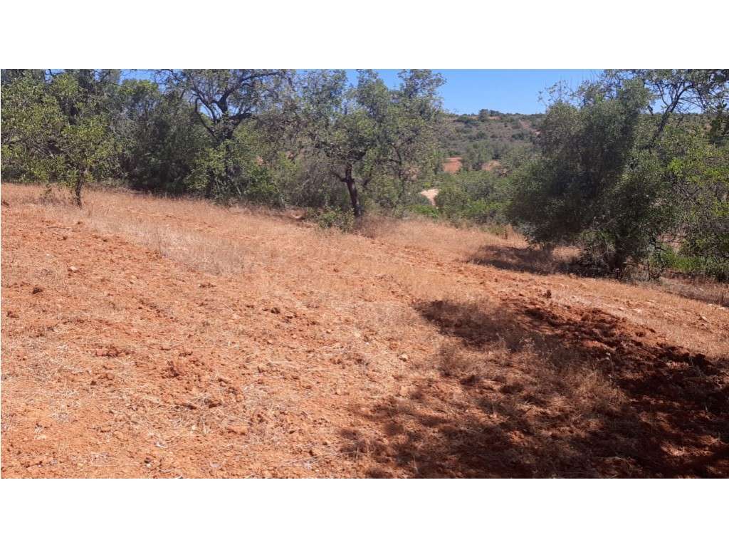 Terreno Rustico - Grande imagem: 3/6