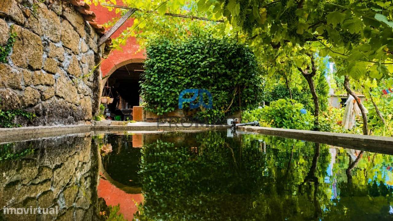 Quinta T6 em São Martinho de Mouros-50