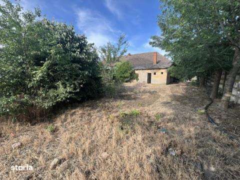 RECO , Spatiu comercial, Ineu,Bihor - Imagine principală: 5/11