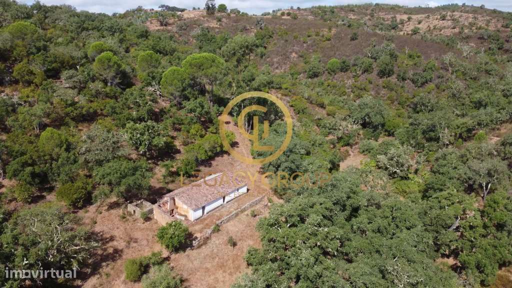 Quinta de 6 hectares perto de São Martinho das Amoreiras-31