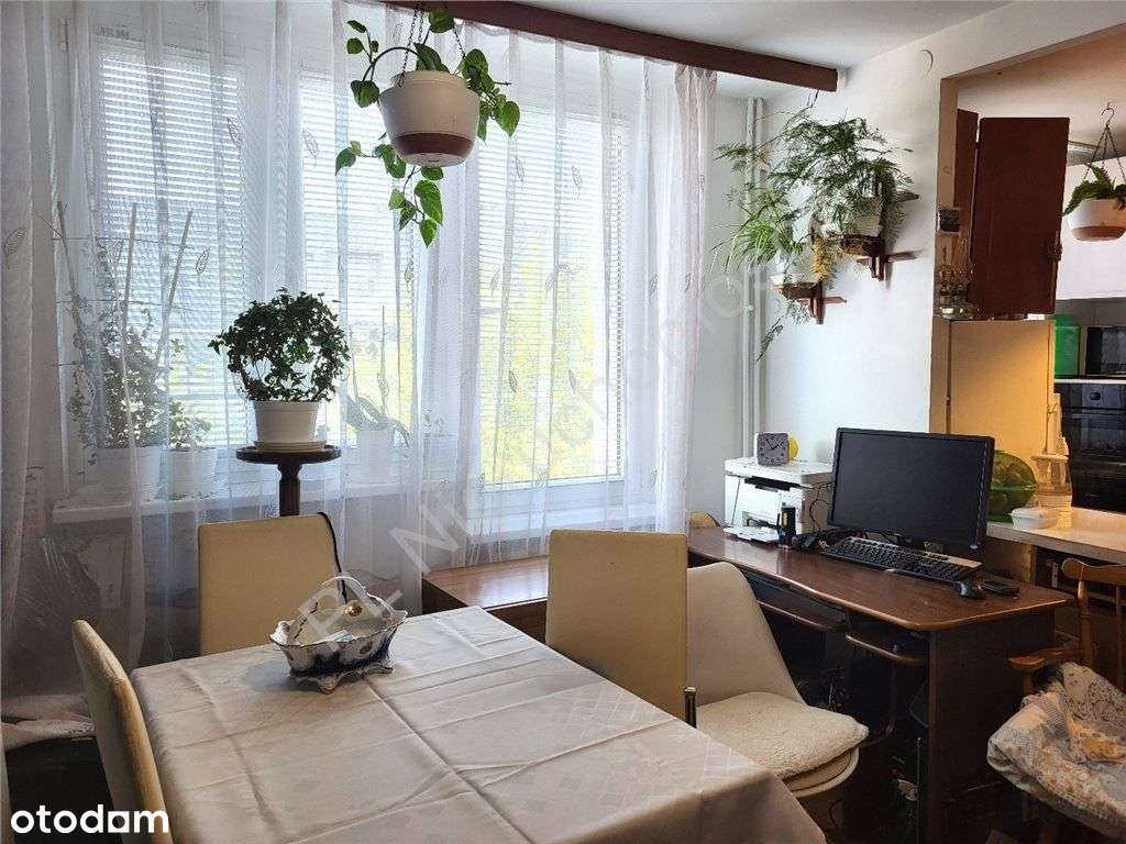 Centrum miasta - doskonała lokalizacja - Pełny obrazek: 4/9